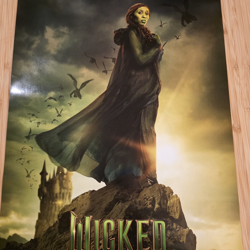 Wicked Popcorn Bucket. - Picture 6 of 8